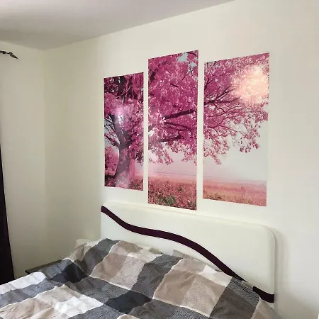 Apartment Bjelasnica * Bjelašnica